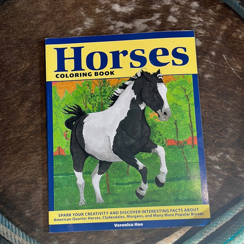 H is for Horse Book