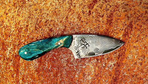 Paint Horse Scholarship Lapel Pin