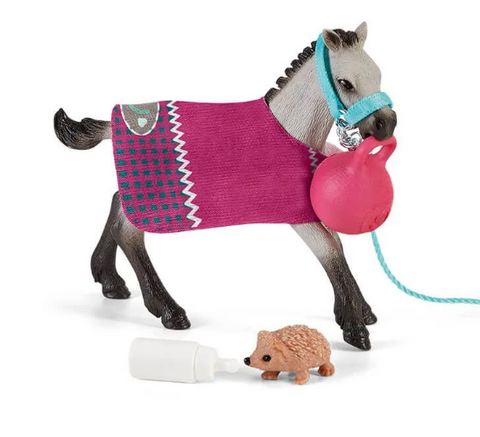 Piccoli Pony with APHA Blanket