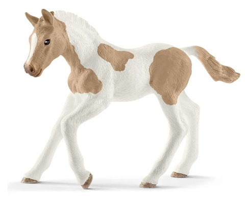 Piccoli Horse with APHA Blanket