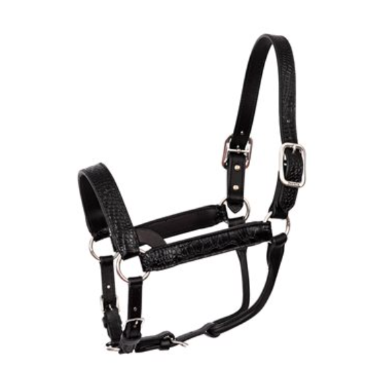 Perri's Western Crocodile Embossed Show Halter