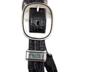 Perri's Western Buckles for Crocodile Show Halters
