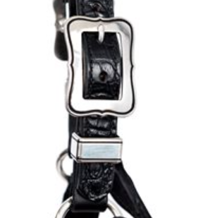 Perri's Western Buckles for Crocodile Show Halters
