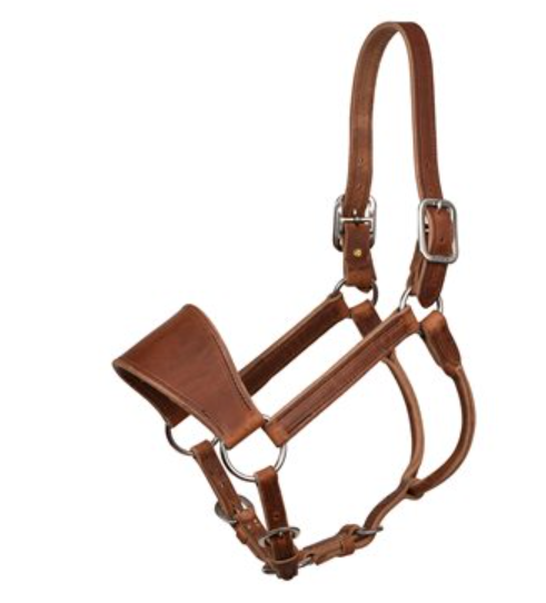 Perri's Leather Ranch Halter- Horse Size