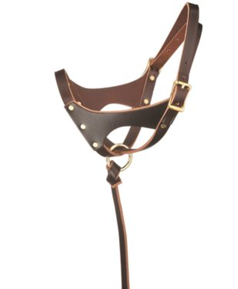 Perri's Double Crown Foal Halter