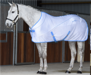 SS APHA Cooler