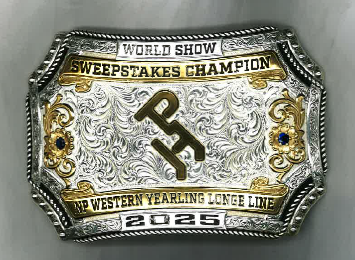 World Show Sweepstakes Duplicate Buckles
