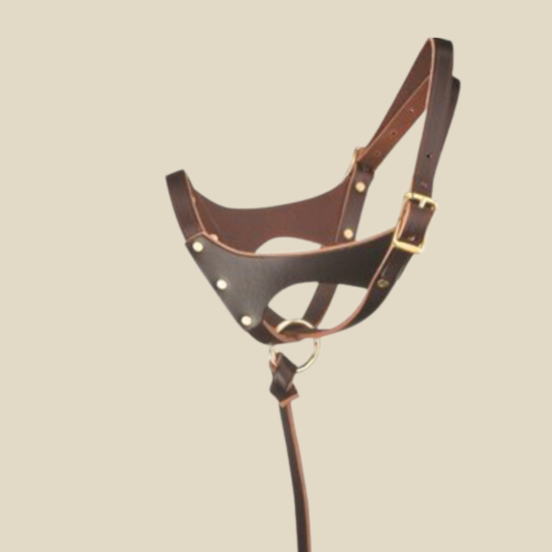 Perri's Double Crown Foal Halter