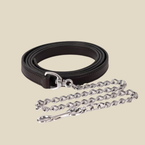 Perri's Padded Leather Lead with Plate