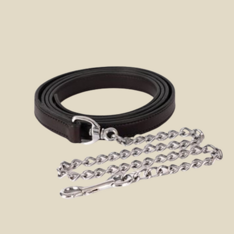 Perri's Twisted Leather Lead With Plate