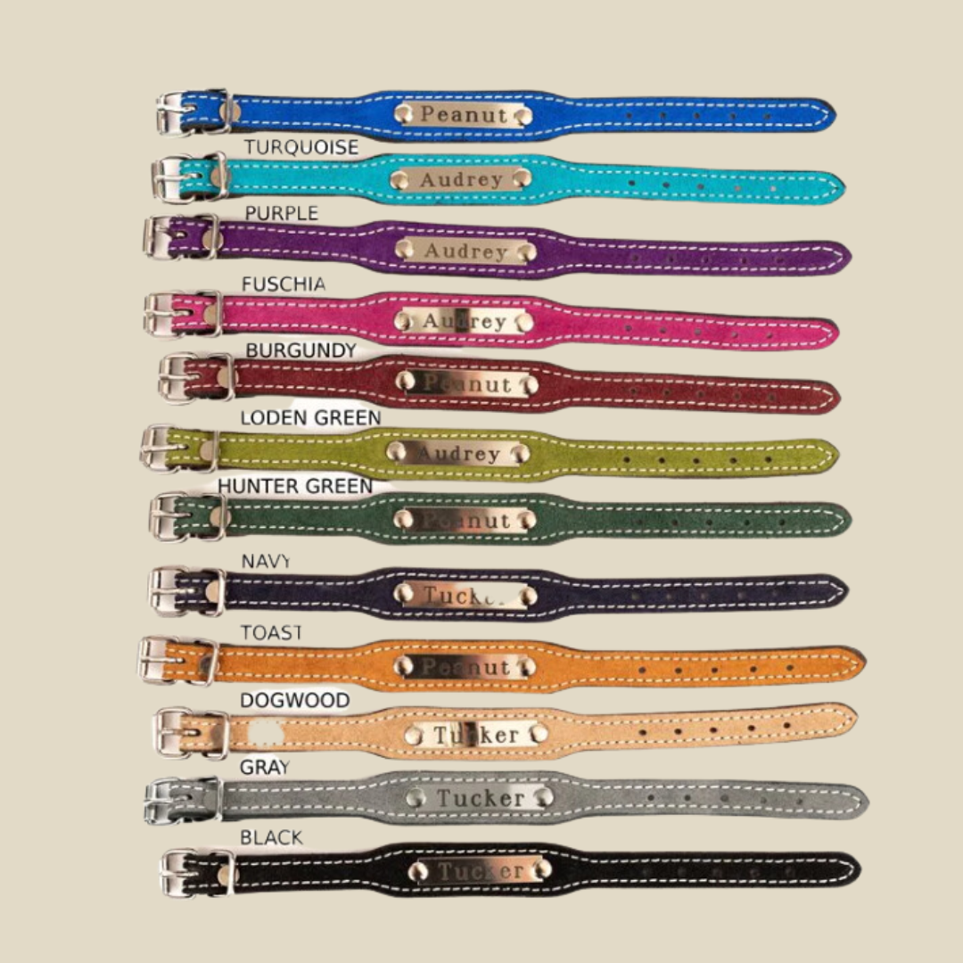 Perri's Leather Suede Bracelet with Plate