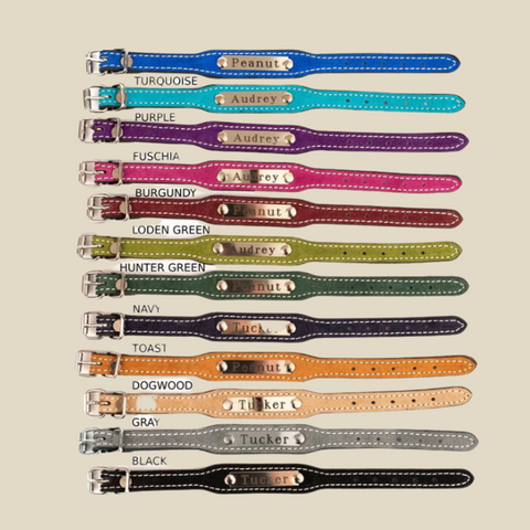 Buckstitch Hav w/ Blk w/ Chain Lead WSP
