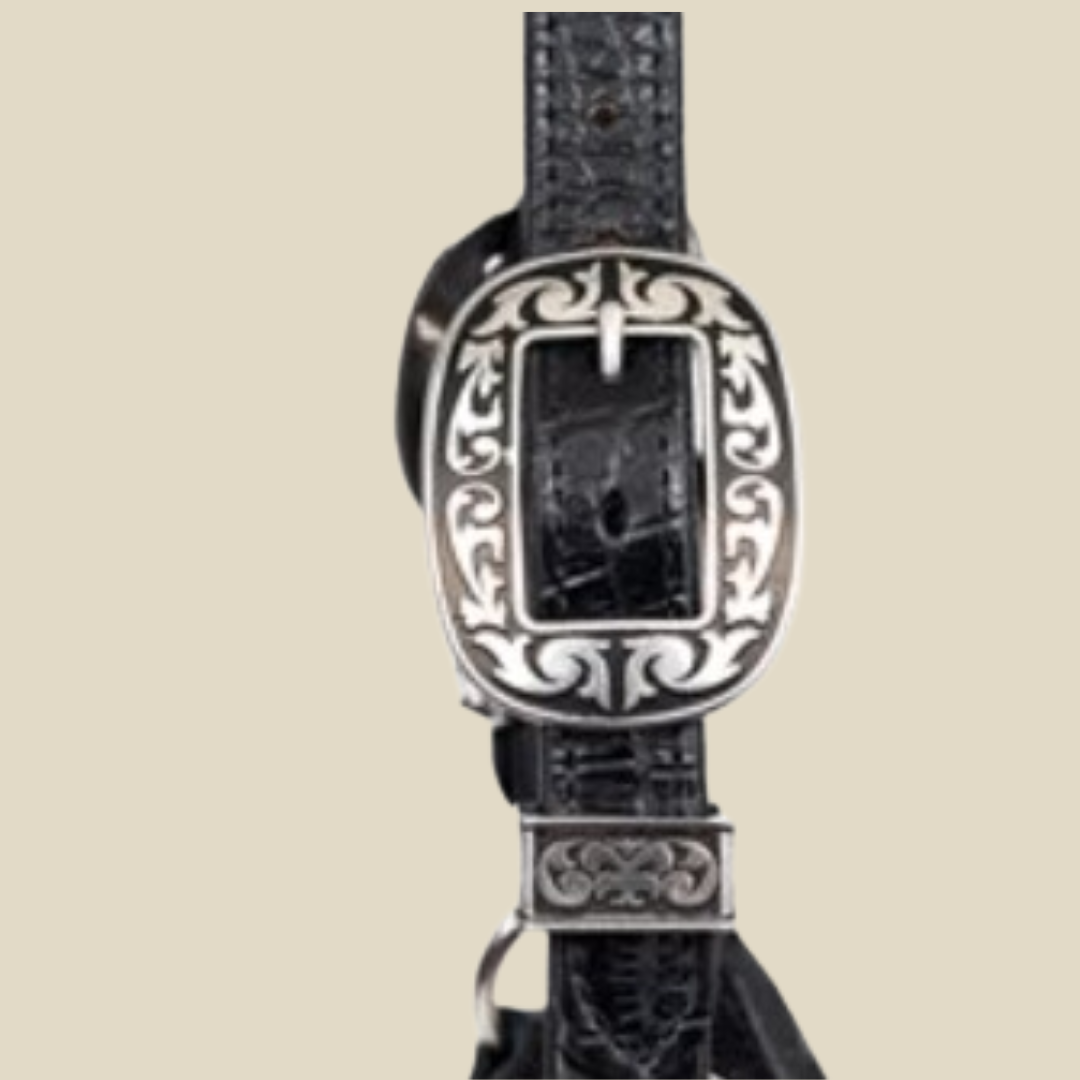 Perri's Western Buckles for Crocodile Show Halters