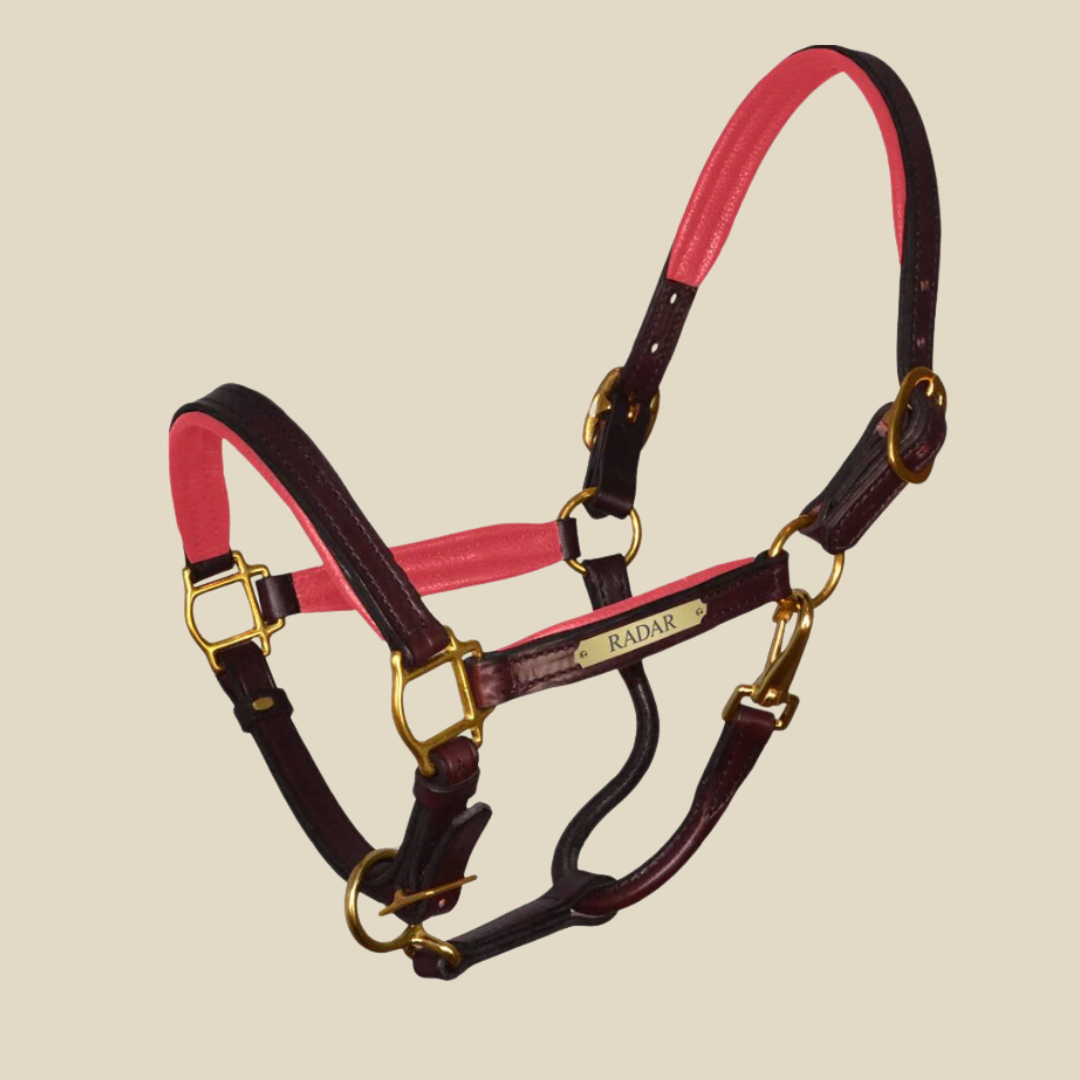 Perri's Padded Leather Halter with Plate