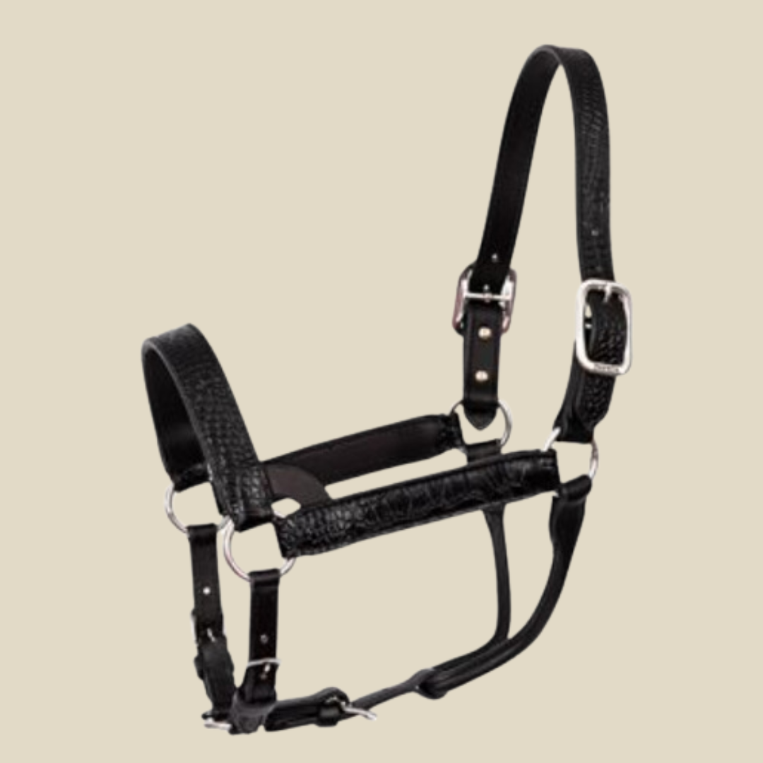 Perri's Western Crocodile Embossed Show Halter