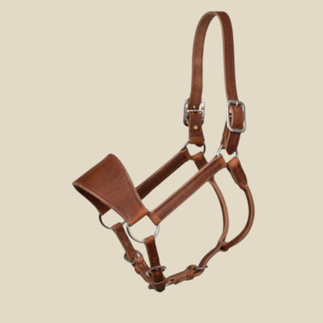 Perri's Leather Ranch Halter- Horse Size