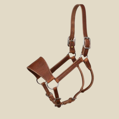 Perri's Padded Leather Lead with Plate