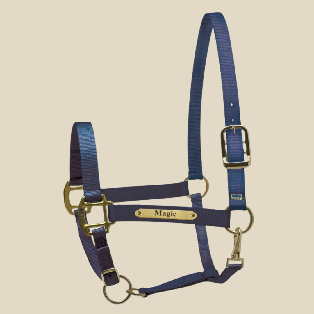 Perri's Nylon Super Halter with Plate