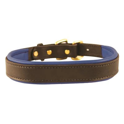 Perris Havana Padded Leather Dog Collar