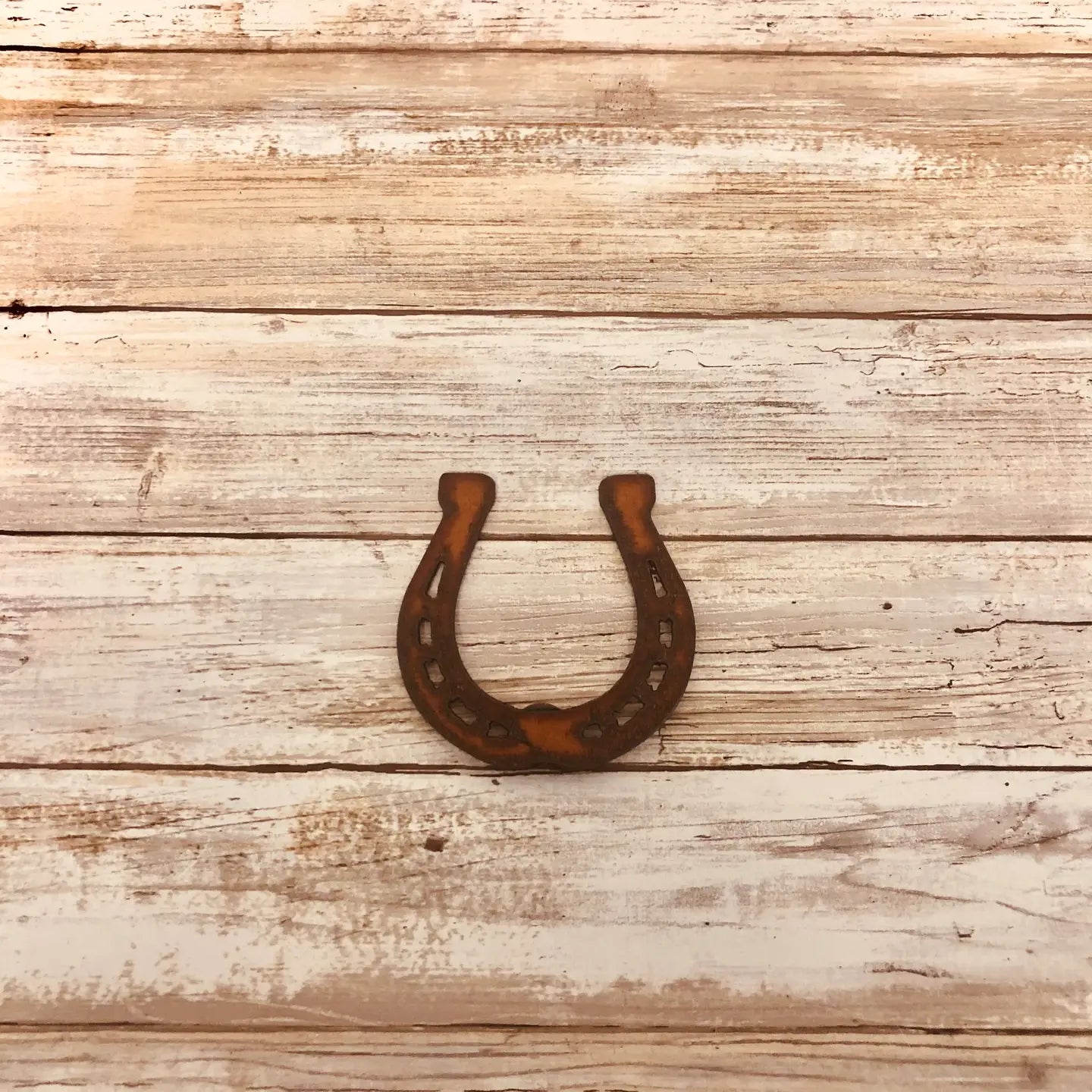 Horseshoe Magnet