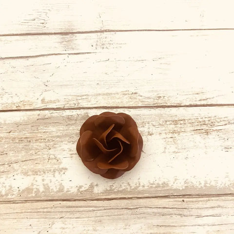 APHA Bronzes Magnet