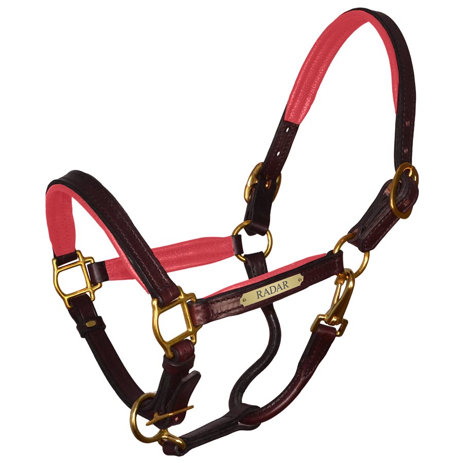 Perri's Padded Leather Halter with Plate