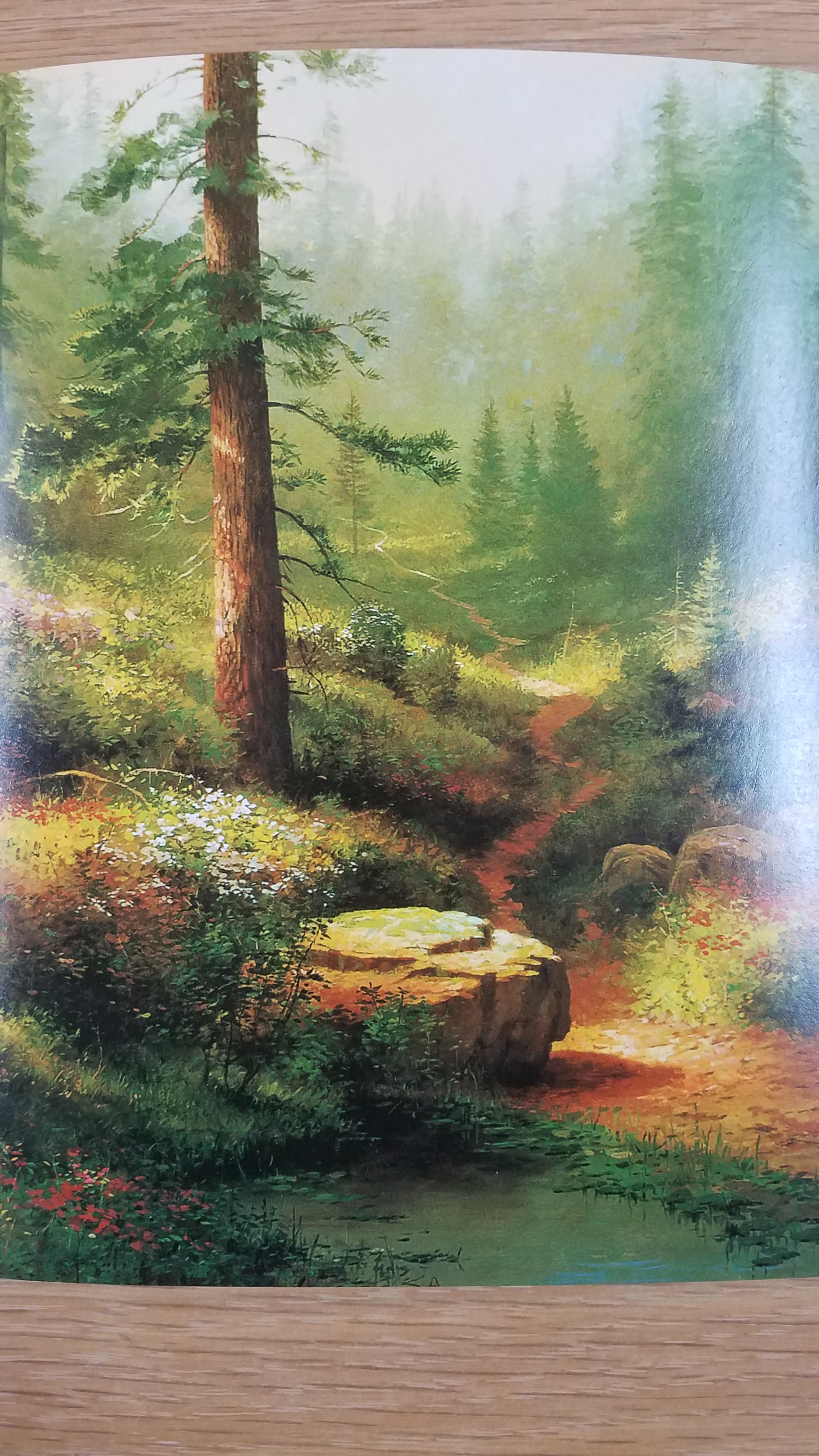 Sympathy Card - Forest