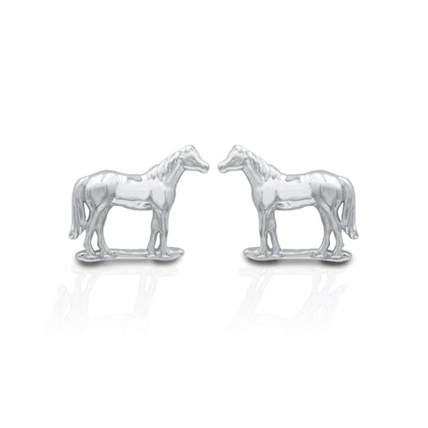 Horseshoe Journey Earrings