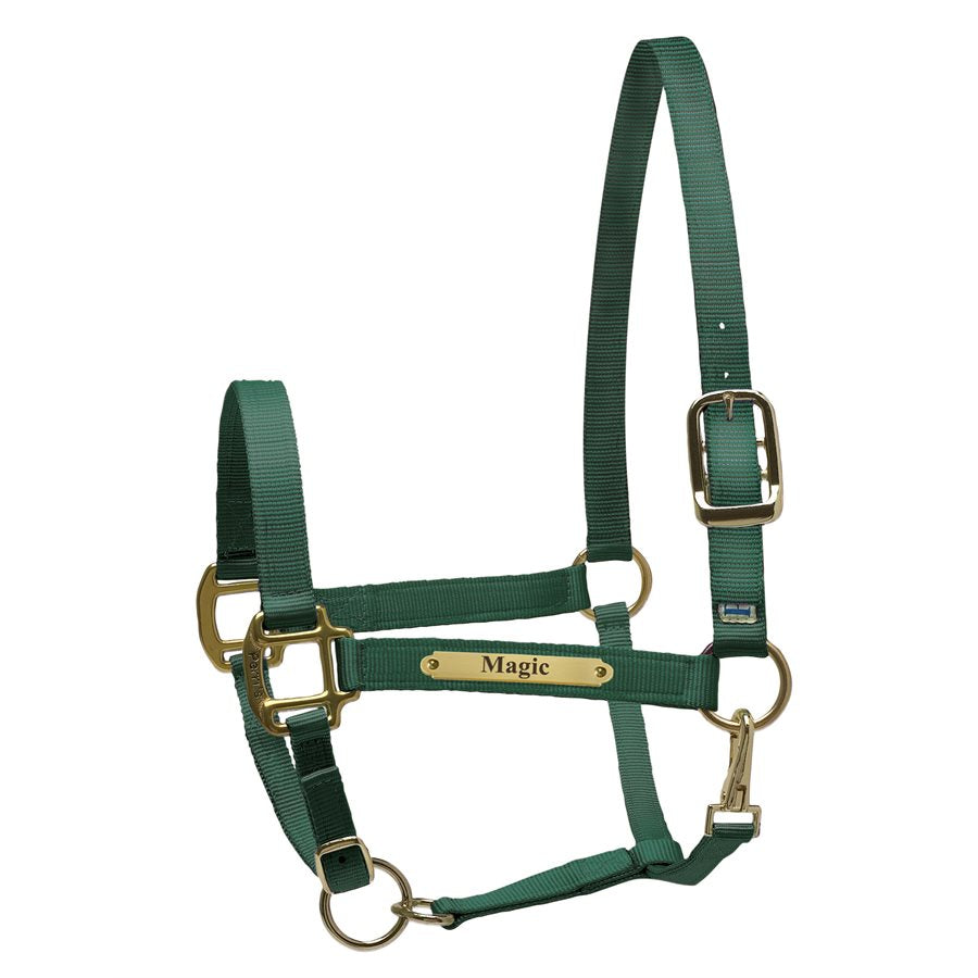 Perri's Nylon Super Halter with Plate