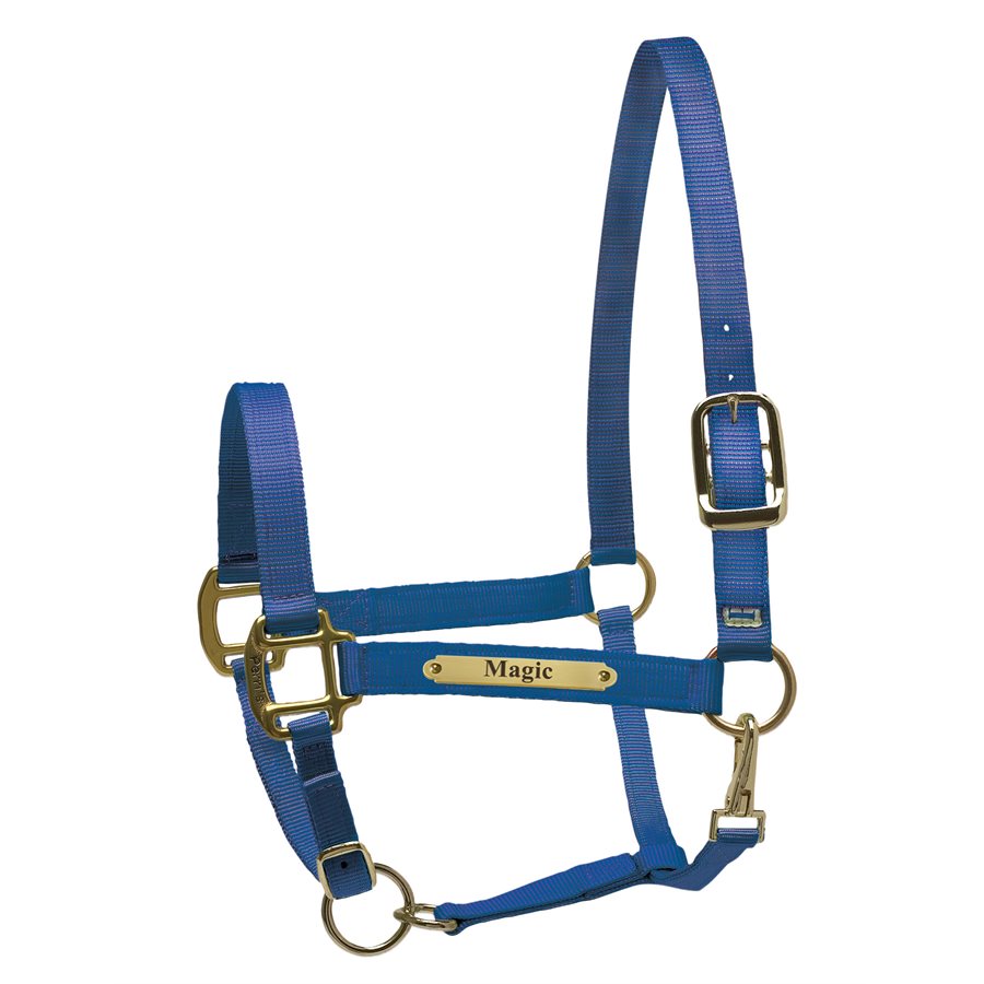 Perri's Nylon Super Halter with Plate