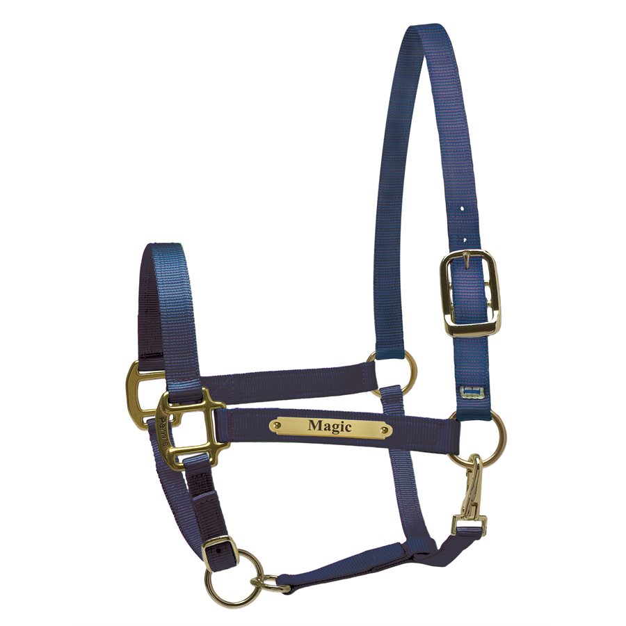 Perri's Nylon Super Halter with Plate