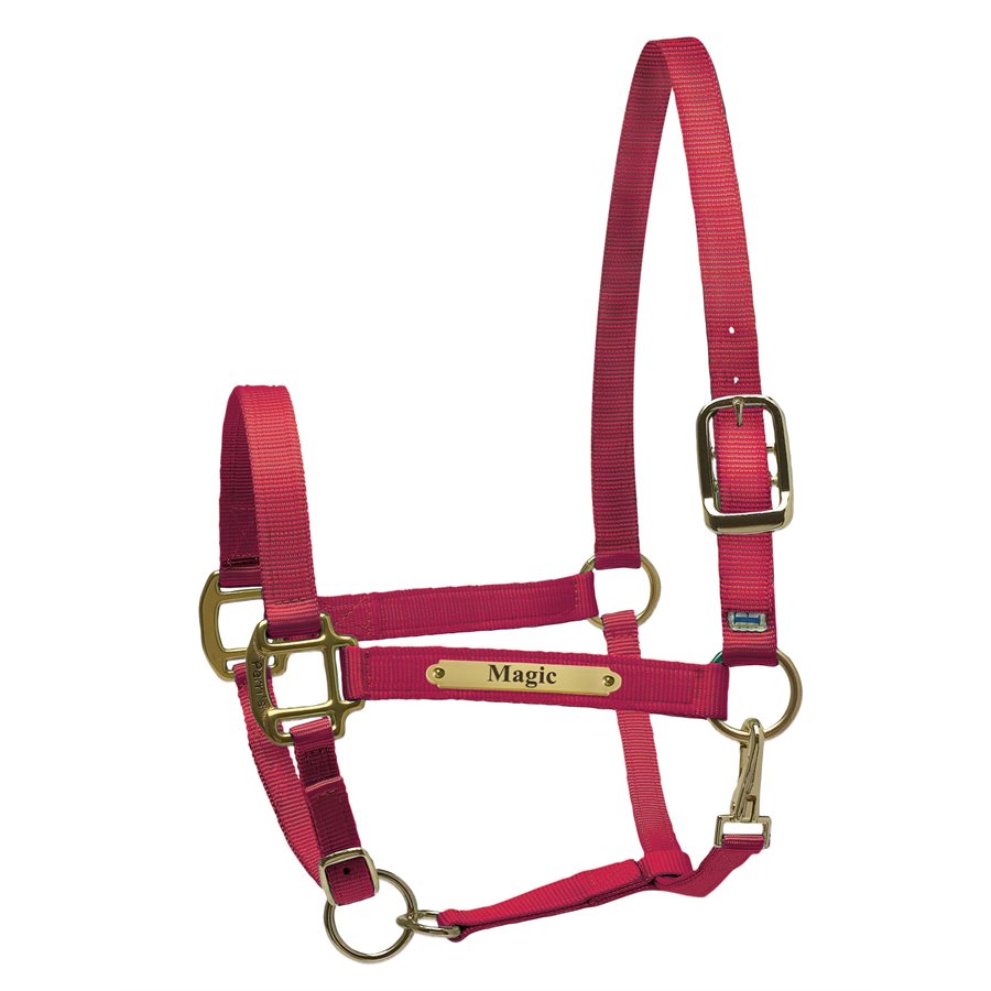 Perri's Nylon Super Halter with Plate
