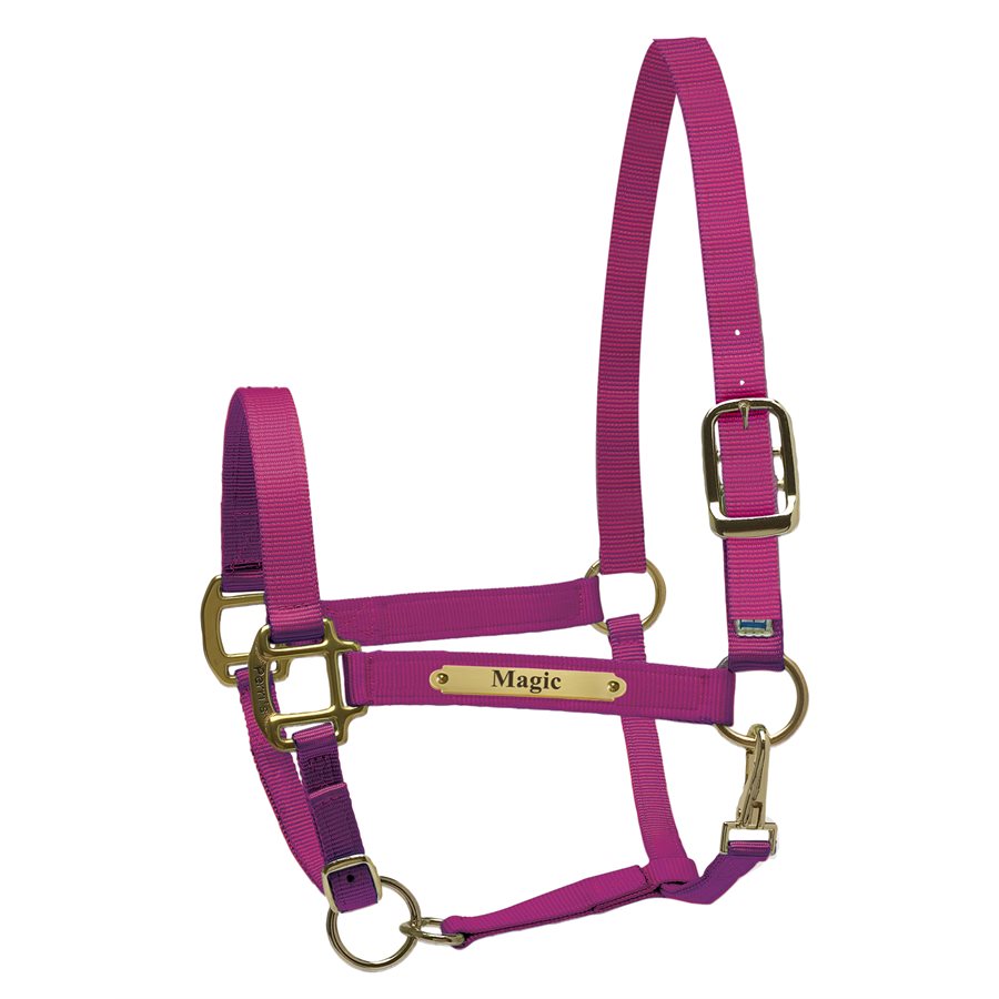 Perri's Nylon Super Halter with Plate