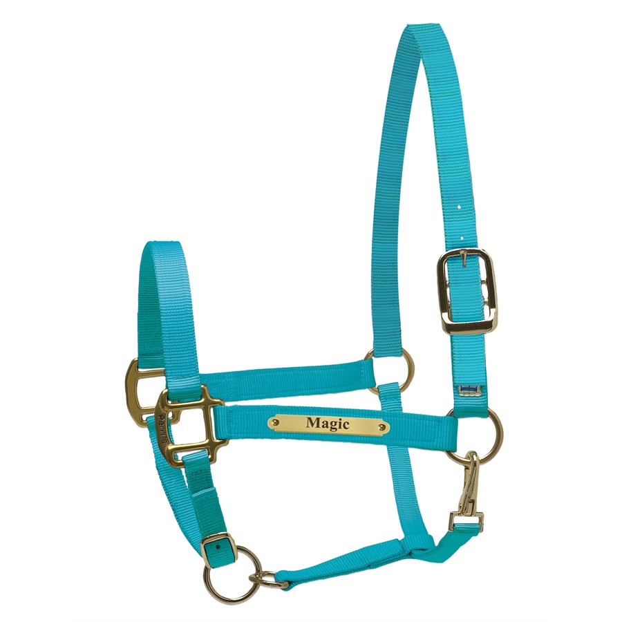 Perri's Nylon Super Halter with Plate