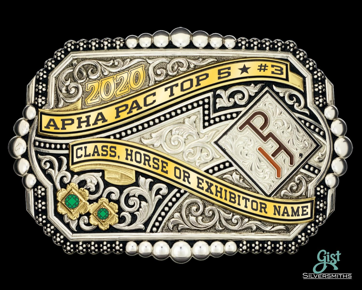 2024 APHA PAC Buckle