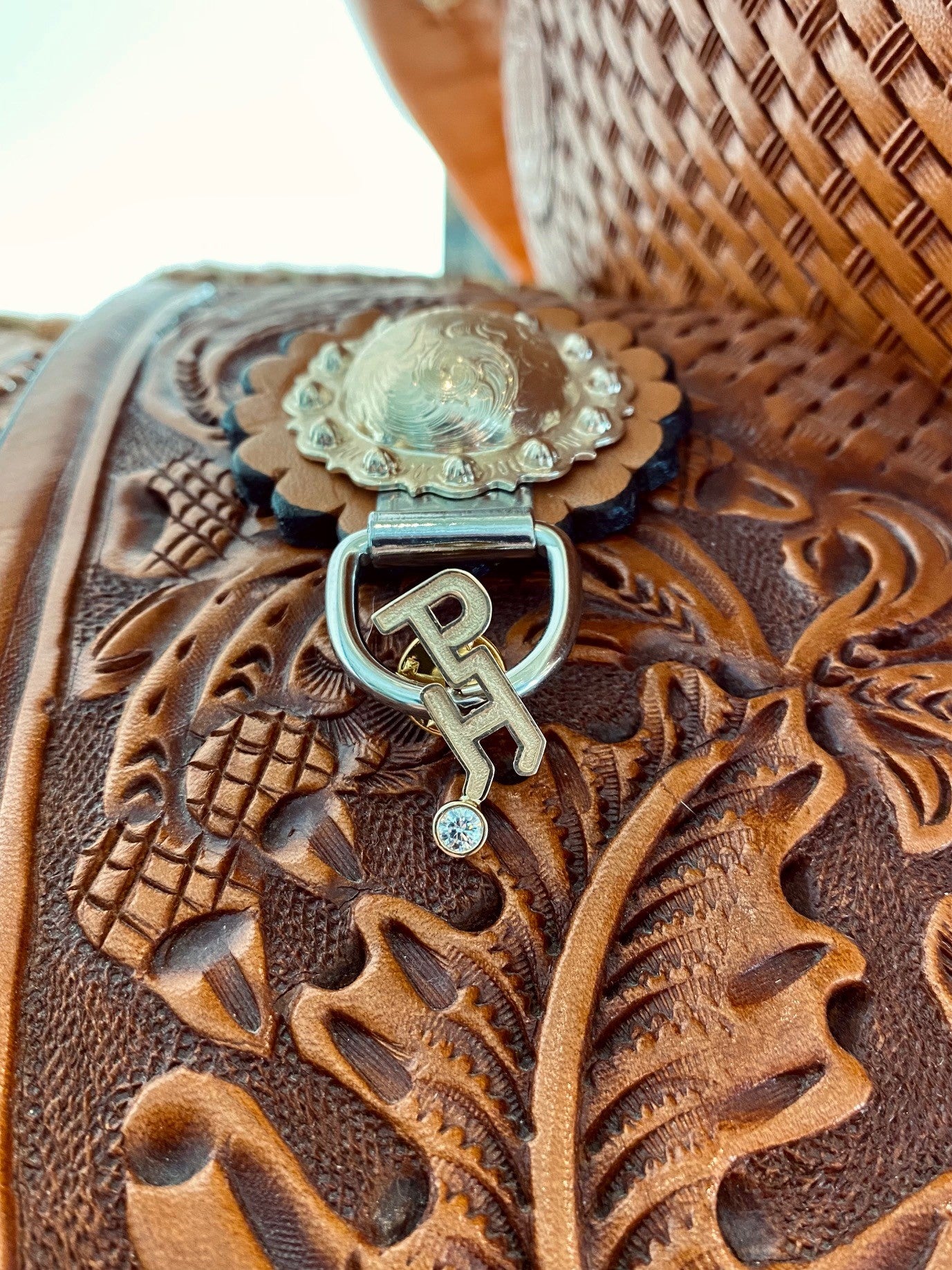 Paint Horse Scholarship Lapel Pin