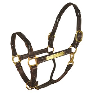 Perri's Twisted Leather Halter With Plate
