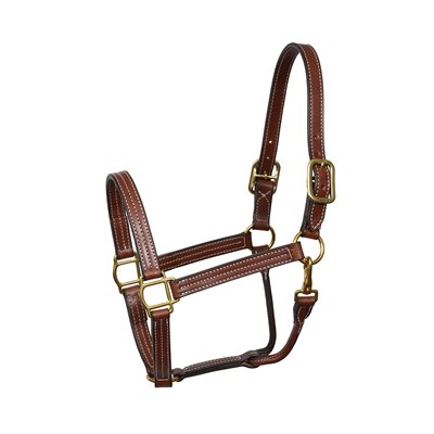 Perri's 1" Professional Show Halter