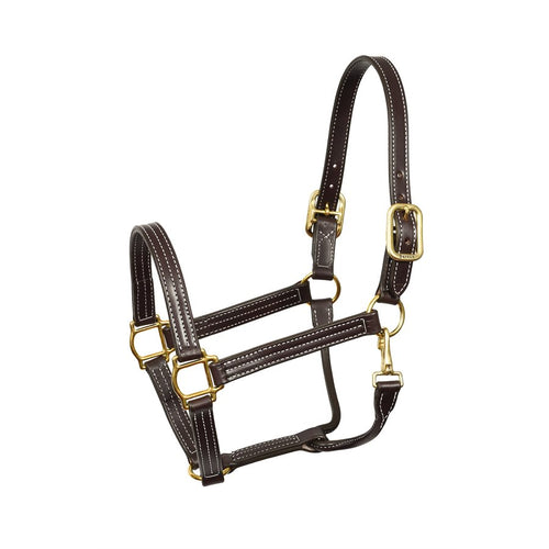 Perri's 1" Professional Show Halter