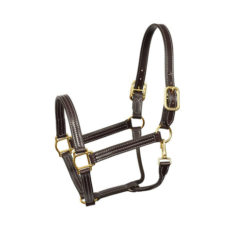 Perri's Nylon Lead w/ Snap