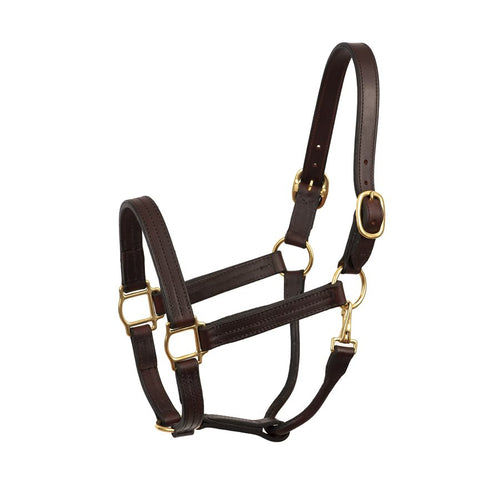 HEAVY WEIGHT COB HAVANA TRACK HALTER W / SNAP WSP