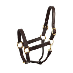 HEAVY WEIGHT COB HAVANA TRACK HALTER W / SNAP WSP