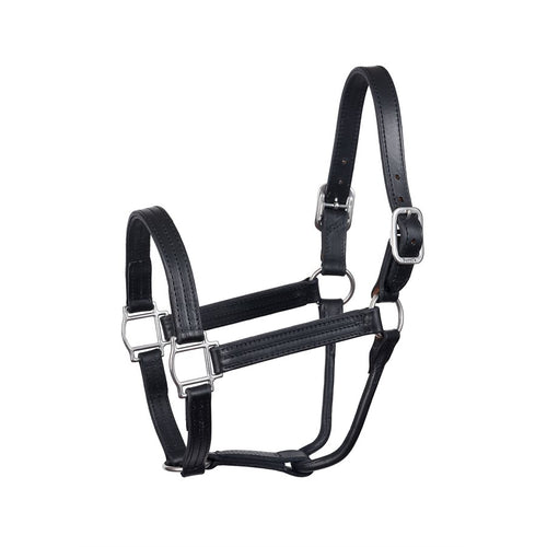 HEAVYWEIGHT BLACK HORSE TRACK HALTER W / NO SNAP WSP