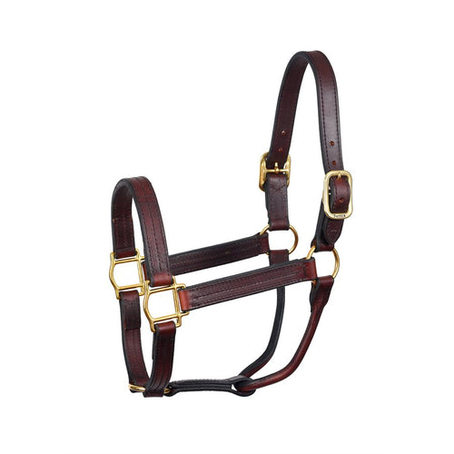 HEAVY WEIGHT HAVANA HORSE TRACK HALTER W / NO SNAP WSP