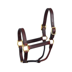 HEAVY WEIGHT HAVANA HORSE TRACK HALTER W / NO SNAP WSP