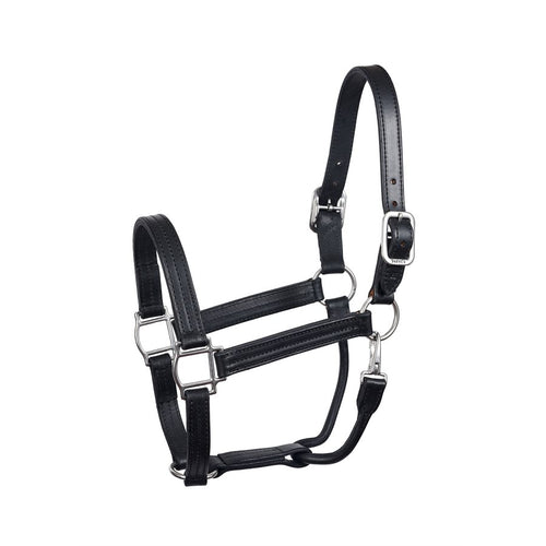 HEAVYWEIGHT BLACK HORSE TRACK HALTER W / SNAP WSP