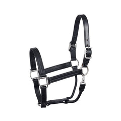 HEAVYWEIGHT BLACK HORSE TRACK HALTER W / SNAP WSP
