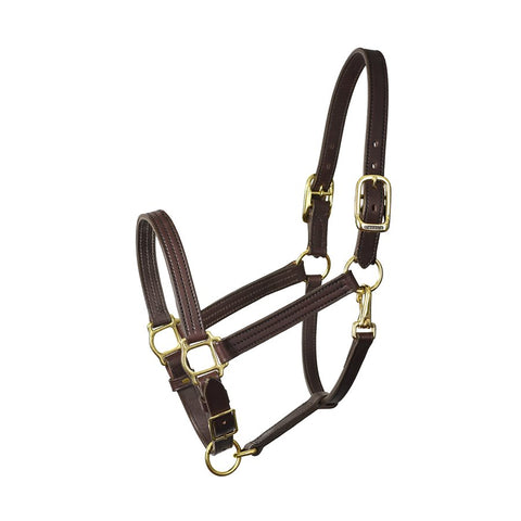 1" HORSE HAVANA TURNOUT HALTER WSP