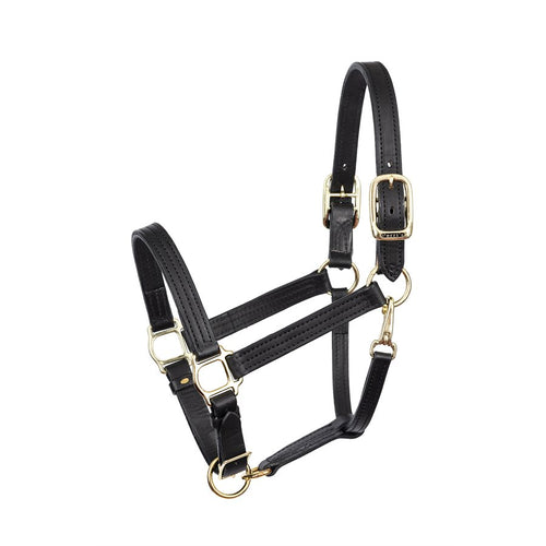 1" HORSE BLACK TURNOUT HALTER WSP