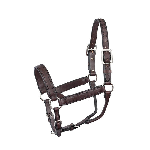 Buckstitch Horse Havana Black Leather Halter WSP
